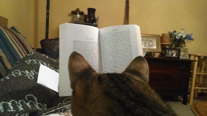 Ferris Reading