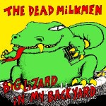 big_lizard_in_my_backyard