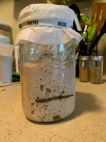 mason jar with sourdough starter risen far above mark on jar