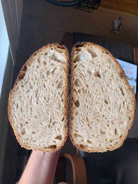 two halves of bread, showing crumb