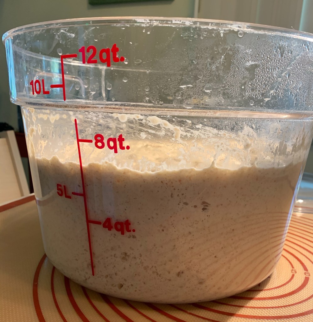 12qt clear container with bubbly dough nearly reaching the 8qt mark.