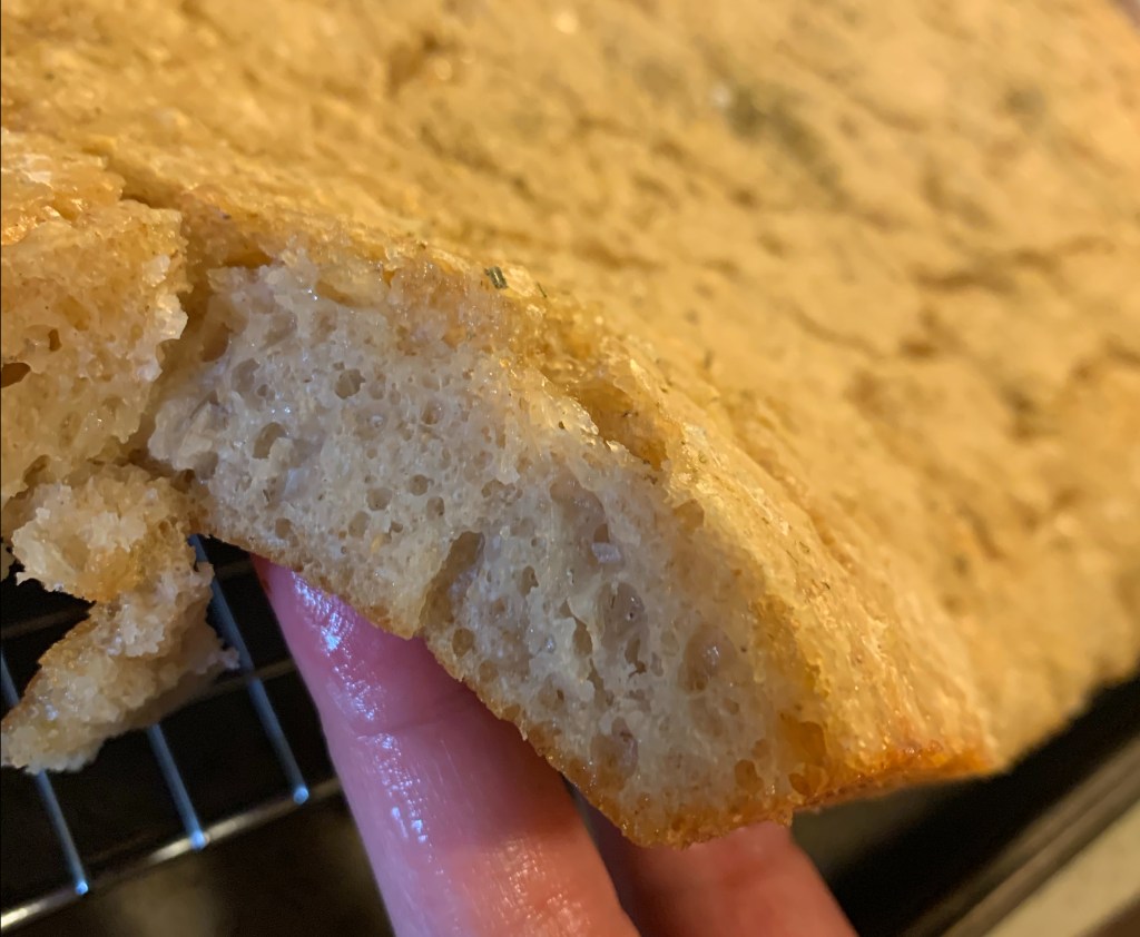 Two very oily fingers prop up a cross section of baked bread, showing a dense layer of focaccia pocked with small air pockets.