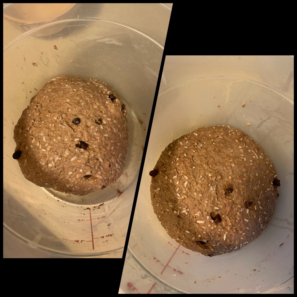 Left is kneaded dough in clear container. Half the dough is not touching the sides. Right image is same dough after rising, with the dough touching all the sides