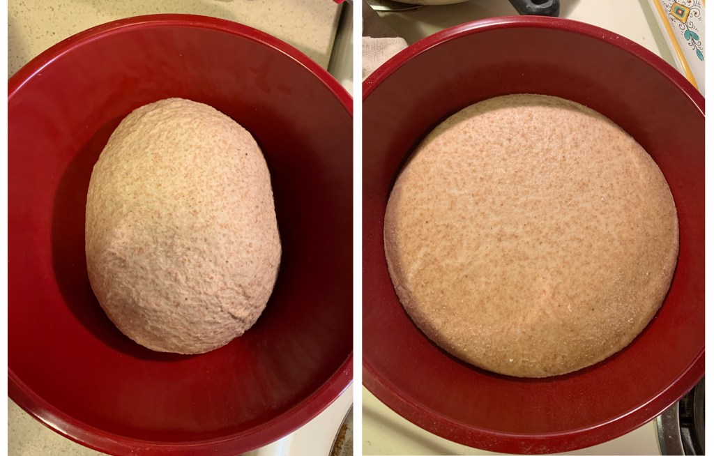 right: red bowl with round of kneaded dough