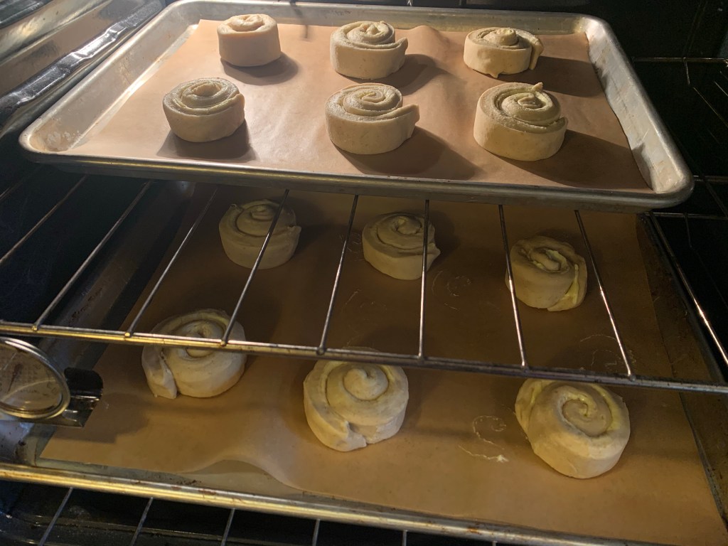 Two sheets of six mallorcas each, in the oven to proof. The oven light shines from the top left.