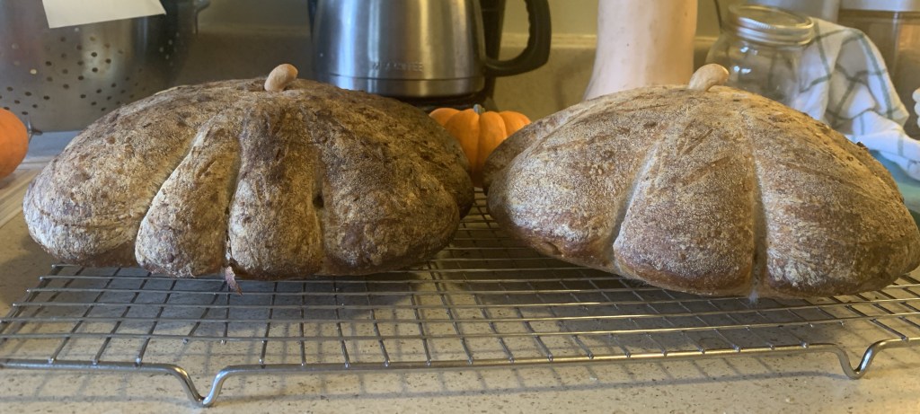 Two loaves on a cooling rack, viewed from the side.