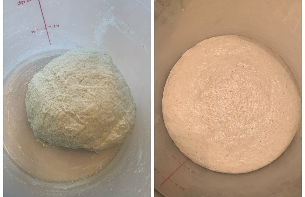 Left: freshly kneaded dough in a cambro container. Right: same dough, but bigger after fermentation.