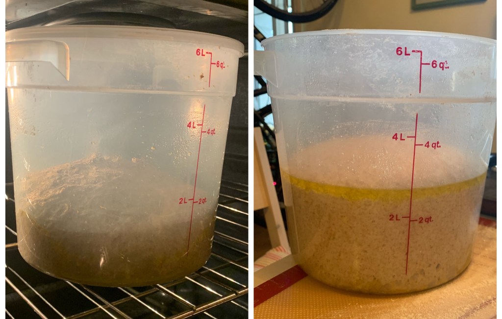 Left: newly kneaded dough in a cambro in the oven. The dough is risen to under the 2qt line. Right: same cambro and dough on the table. The dough is risen to almost 3qt.