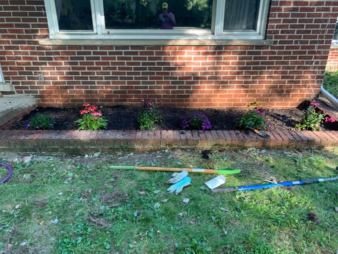 front garden with small mounds of newly planted flowers